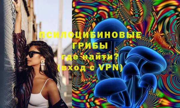 скорость Гусь-Хрустальный
