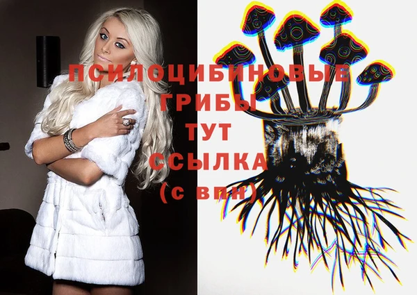бошки Гусев