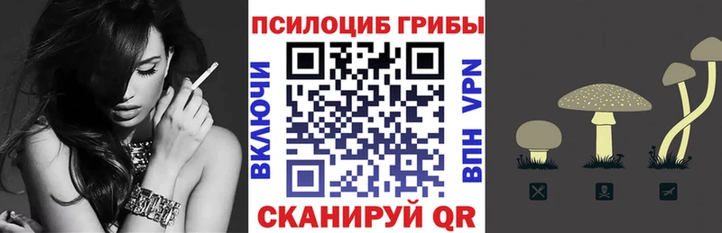 наркошоп Щигры omg ссылка Галлюциногенные грибы мицелий